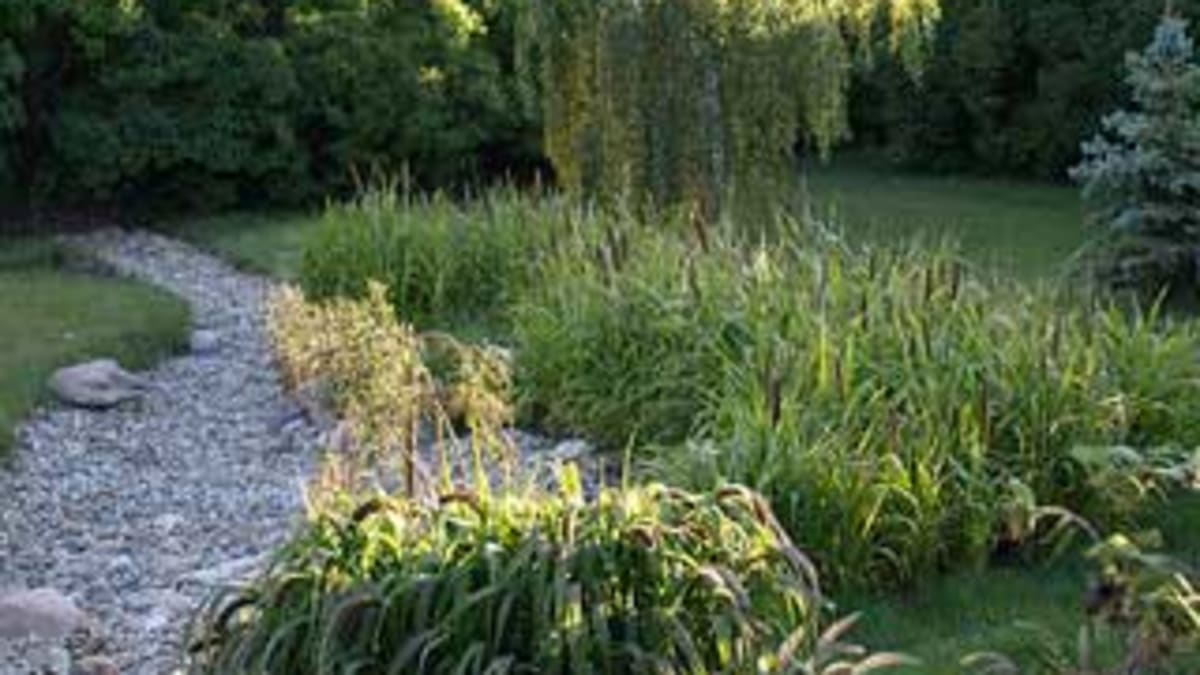 Design a Dry Streambed to Direct Runoff - Horticulture