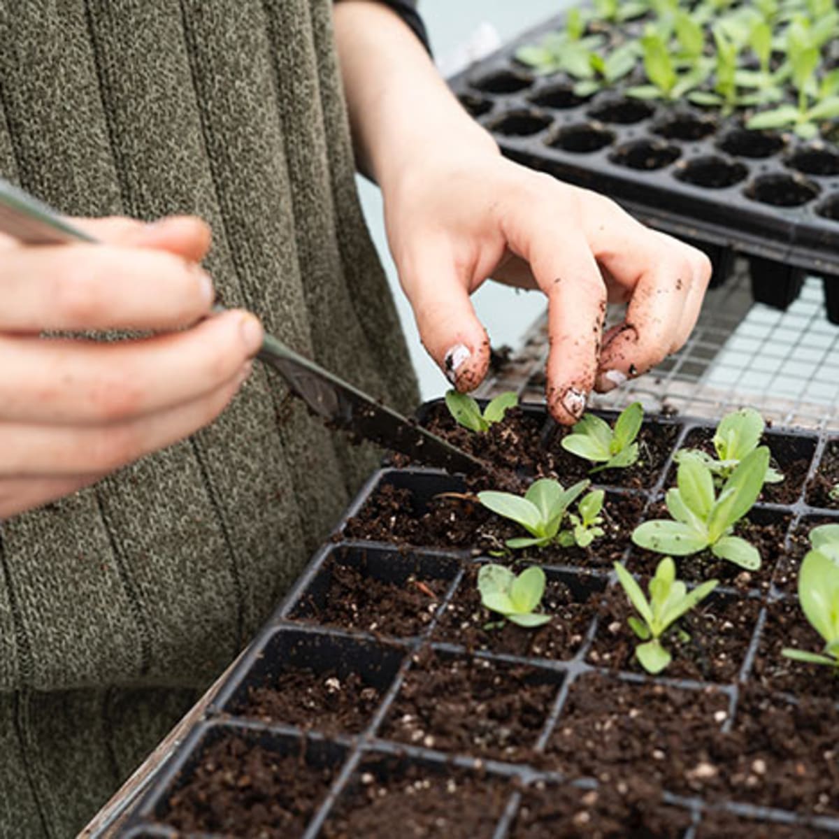 DIY Seed Packet Storage Box - FineGardening