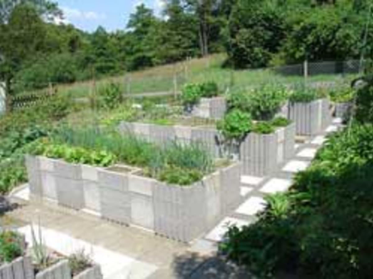 The Benefits of Raised Garden Beds - FineGardening