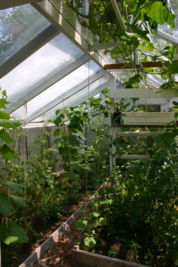 Facing Fall and Winter in the Heated Greenhouse - Horticulture