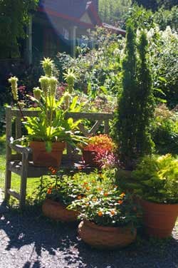 Open Days Garden Tours - Horticulture