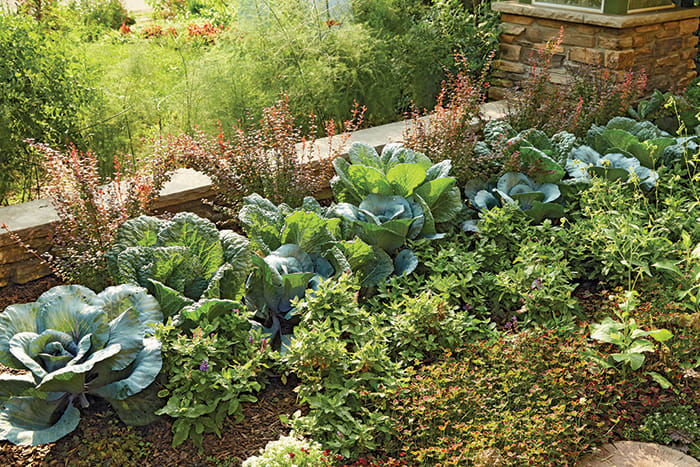 Permaculture and More in a Minnesota Garden - Horticulture