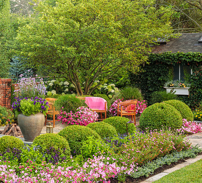 How to Use VaseShaped Shrubs and Trees in Garden Design Horticulture