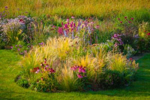 Using Ornamental Grasses in Your Garden Design - Horticulture