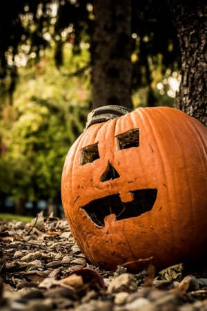 Compost Pumpkins and Jack-o-Lanterns With These Tips - Horticulture