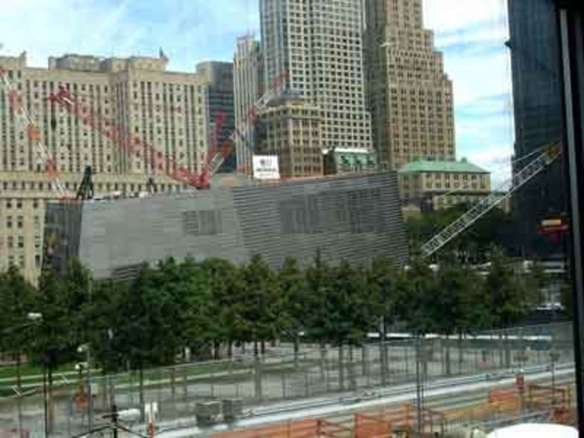 Survivor Tree Leaves  National September 11 Memorial & Museum
