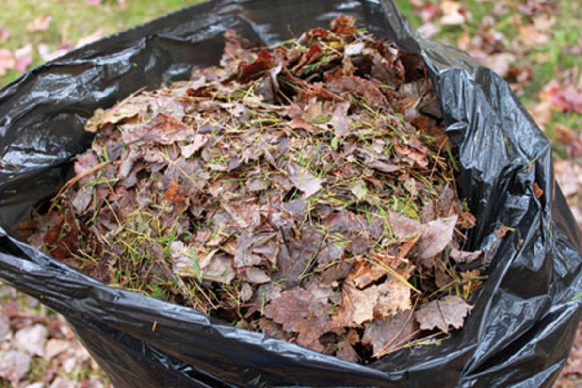 Making Compost, Using Leaf Bags to Compost, Fall Garden Care, Growing  Tips