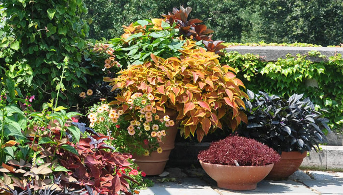 Pros & Cons of Different Types of Garden Containers