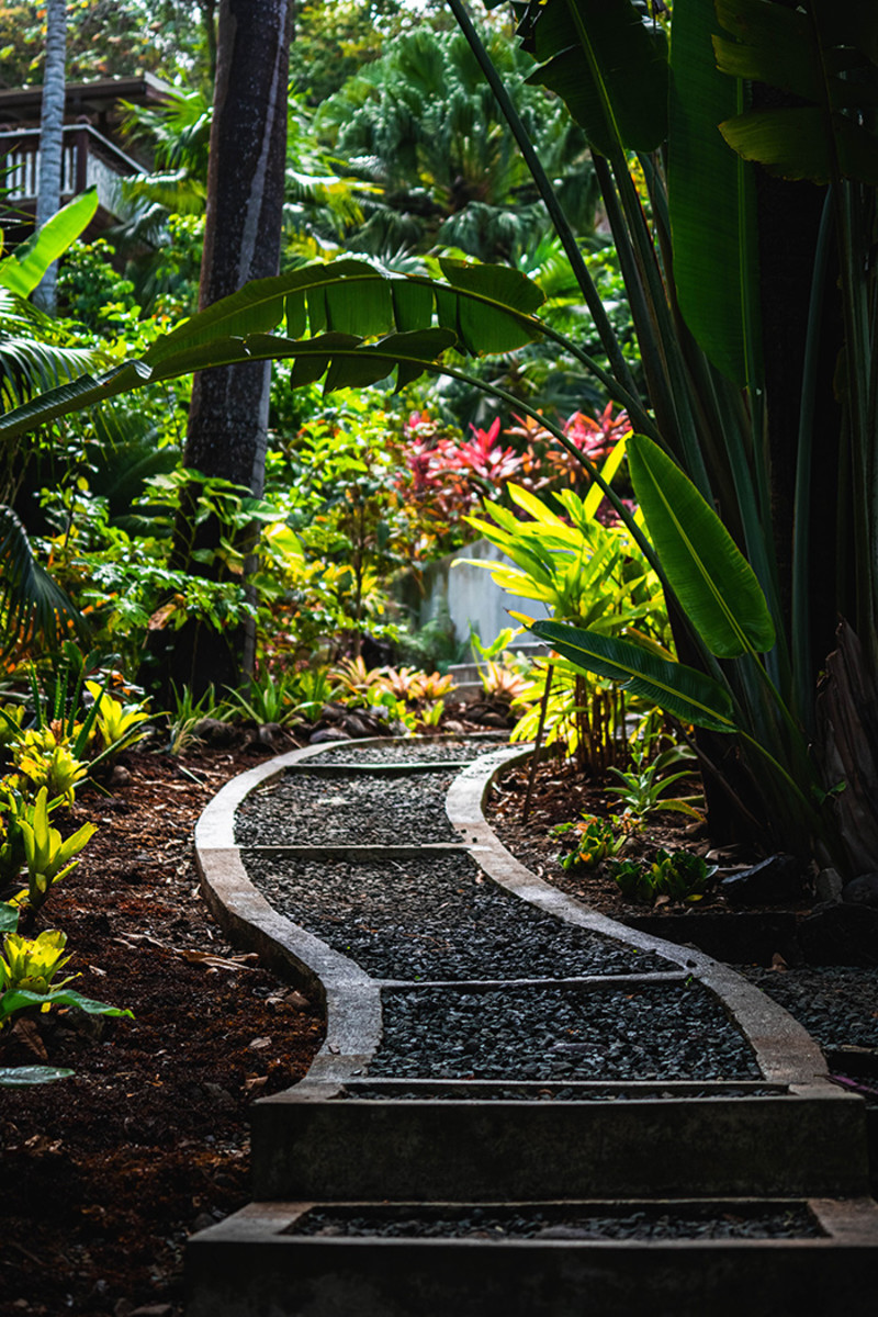 10 Steps to an Even Better Garden - Horticulture