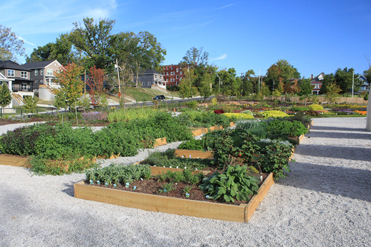 A School Garden Grows with Teamwork - Horticulture