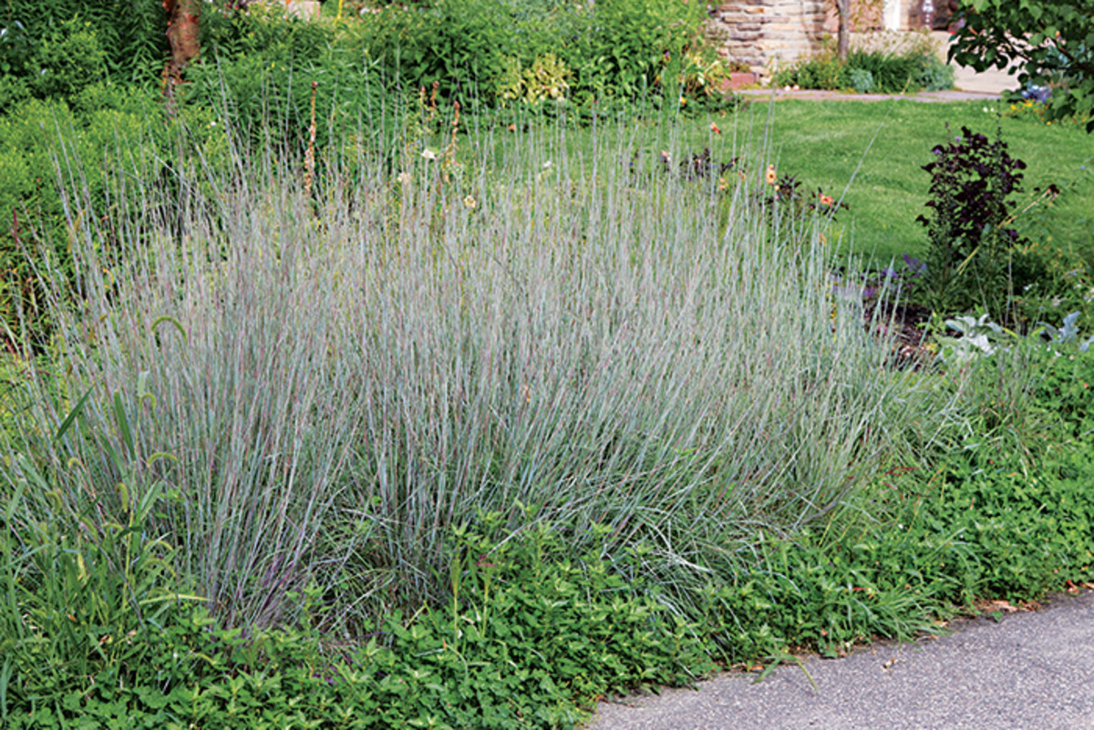 Permaculture and More in a Minnesota Garden - Horticulture