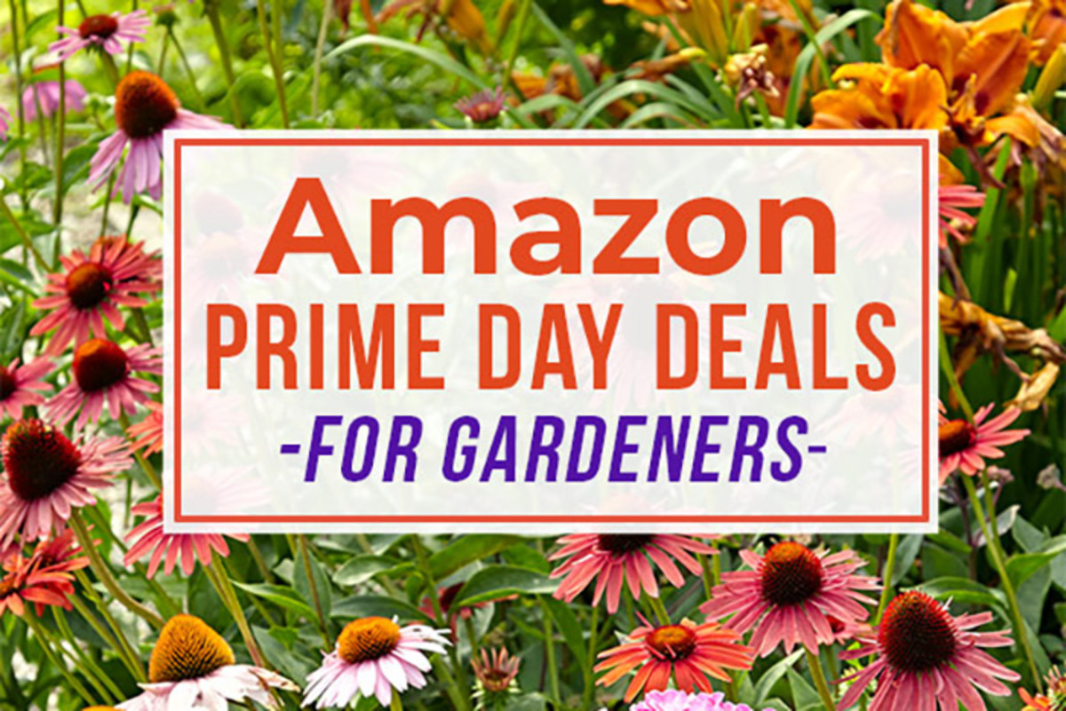 Gardening Deals on Amazon Prime Day July 2023 Horticulture