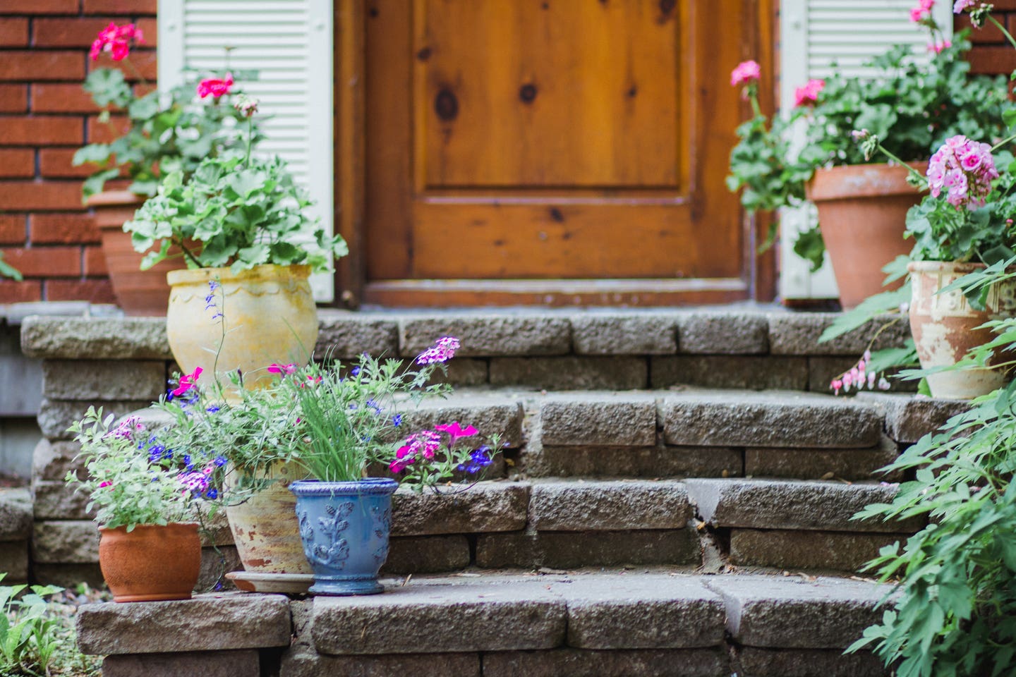 Winter is Coming—What You Need to Do with Perennials in Containers