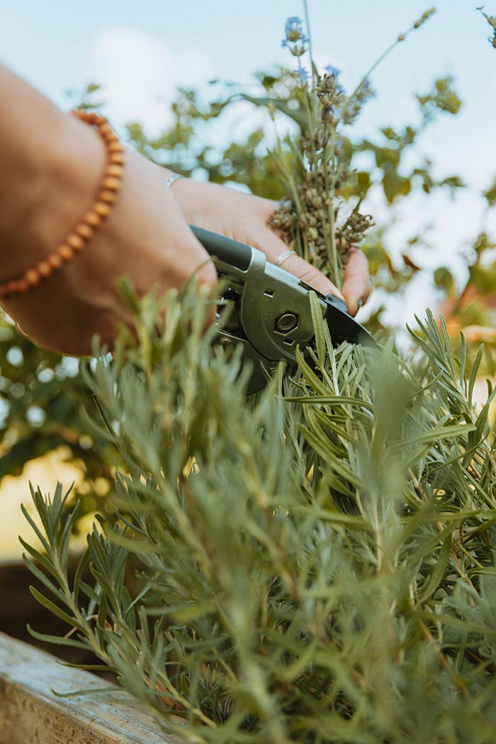 4 Ways That Gardening Boosts Our Mental Health